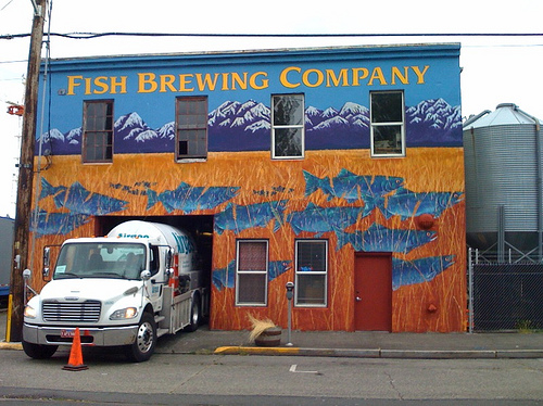 fish brewing does not fear